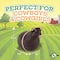 Big Country Toys Bouncy Bull Rodeo Ball Ride-On Toy